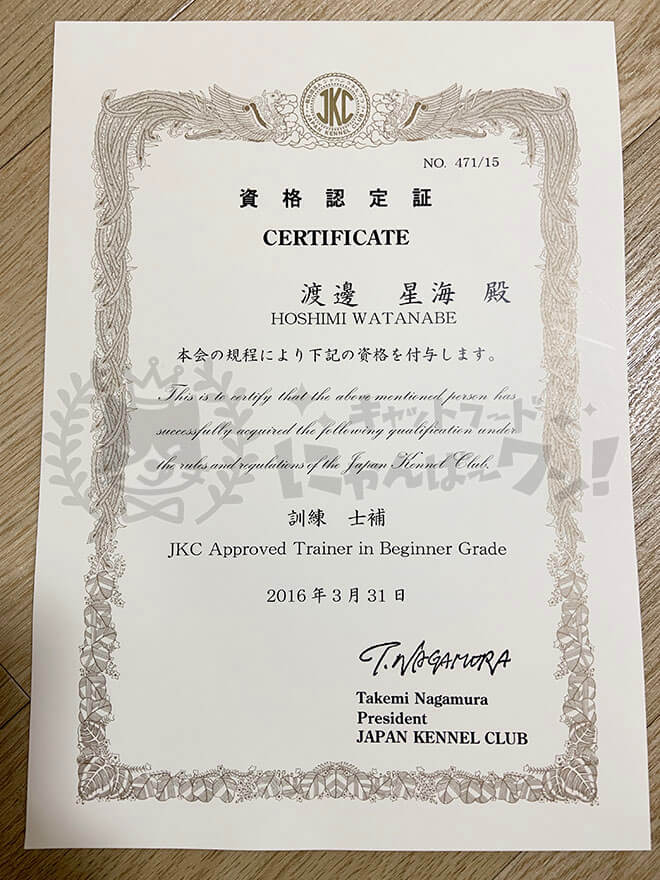 渡邊星海のジャパンケネルクラブ訓練士補の資格認定証