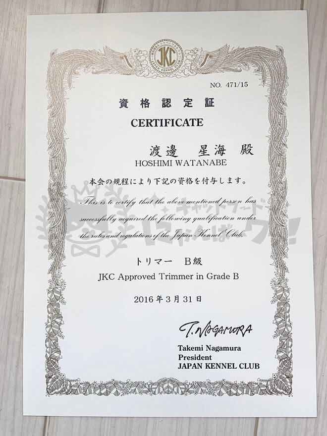 渡邊星海のジャパンケネルクラブトリマーB級資格認定証