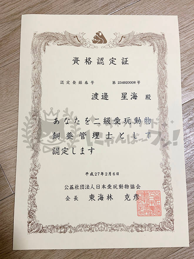 渡邊星海の日本愛玩動物協会二級愛玩動物飼育管理士の資格認定証