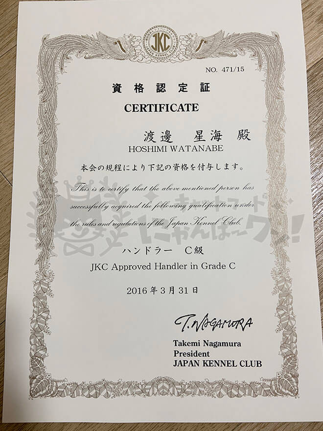 渡邊星海のジャパンケネルクラブハンドラーC級の資格認定証