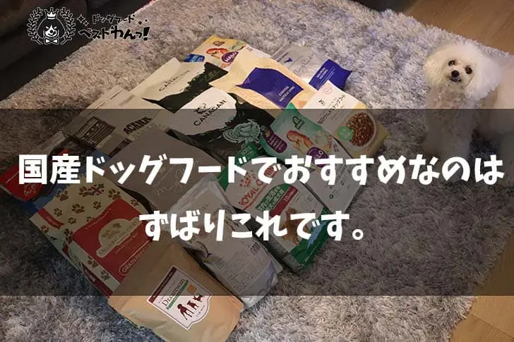 国産ドッグフードのおすすめランキング5選 動物看護師資格持ちが厳選しました 21年最新版