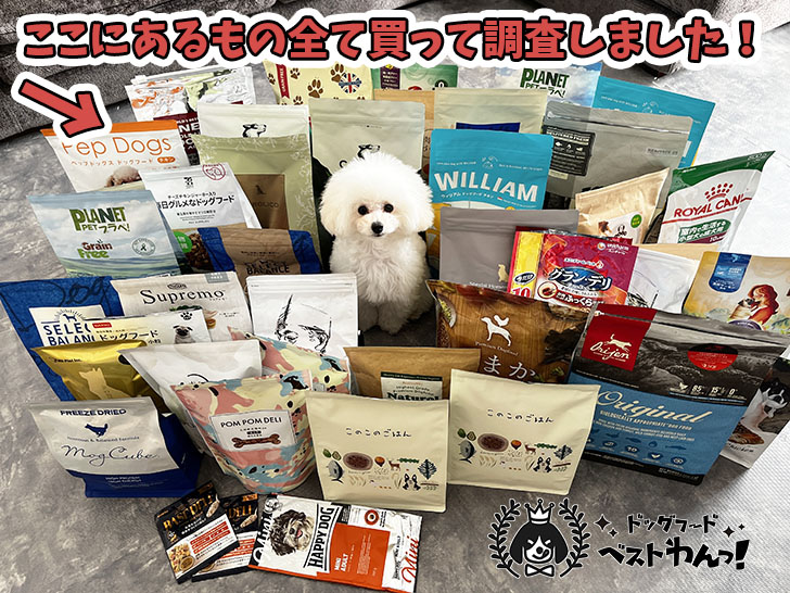 犬用ウェットフードのおすすめ人気ランキング7選！安全性や口コミを