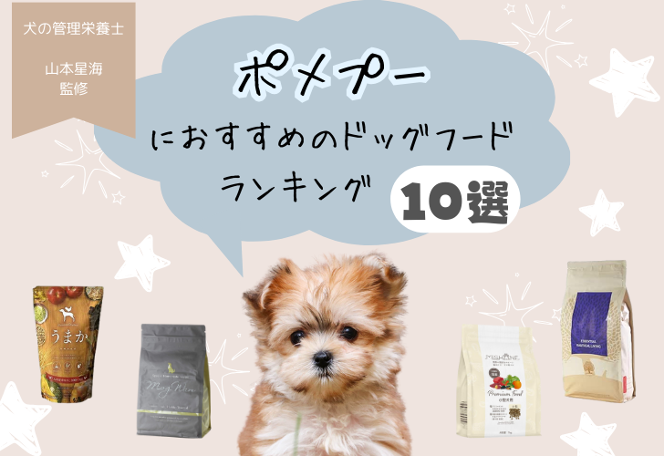 2024年】ポメプーにおすすめのドッグフードランキング10選！動物取扱