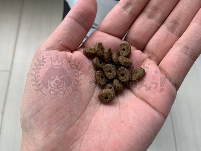 カナガンデンタルの粒