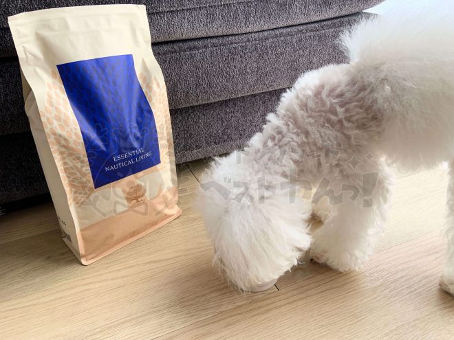 エッセンシャルドックフードを食べているトイプードル