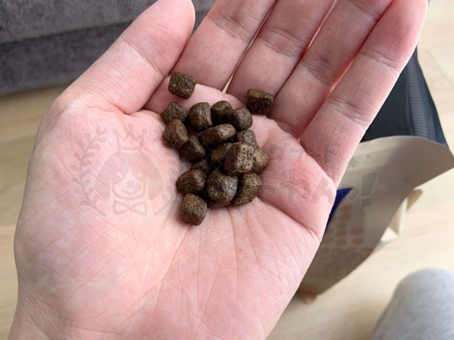 エッセンシャルドックフードの粒