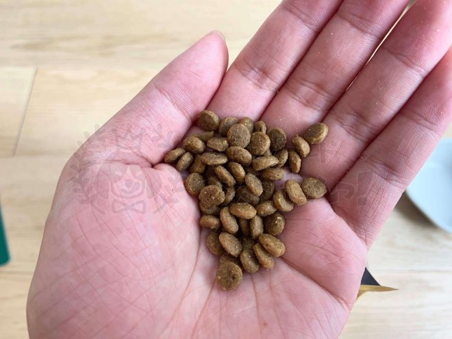 ハロードッグフードの粒