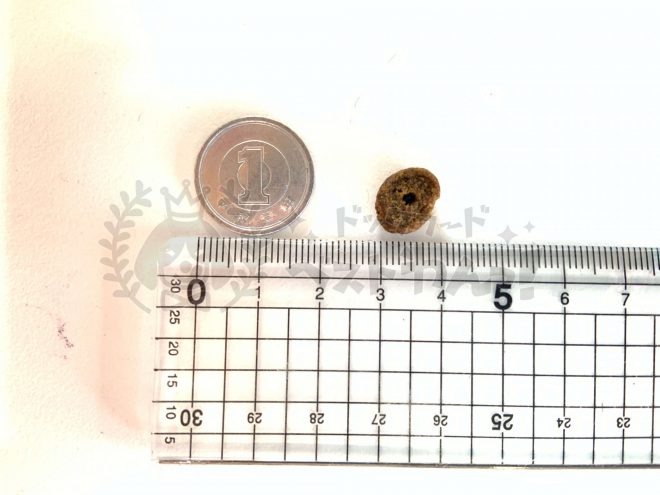 カナガンデンタルの粒の大きさ