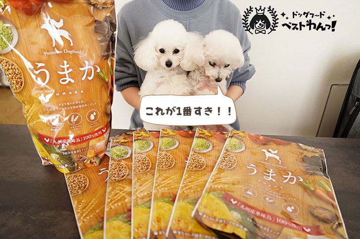 うまかドッグフードと愛犬の口コミ
