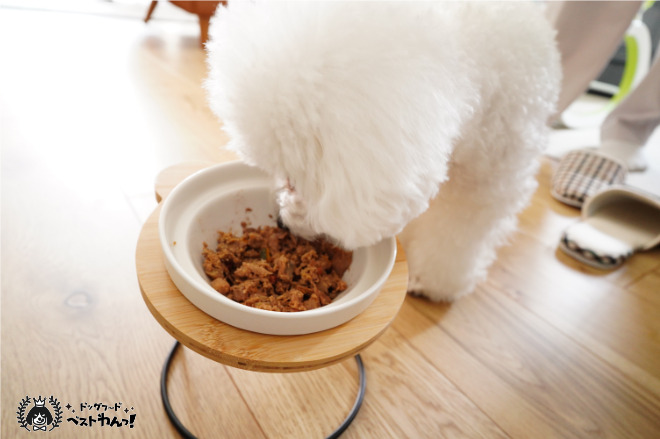 ココグルメジビエ味を食べるトイプードル