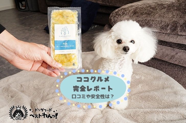 ココグルメ口コミ完全レポート