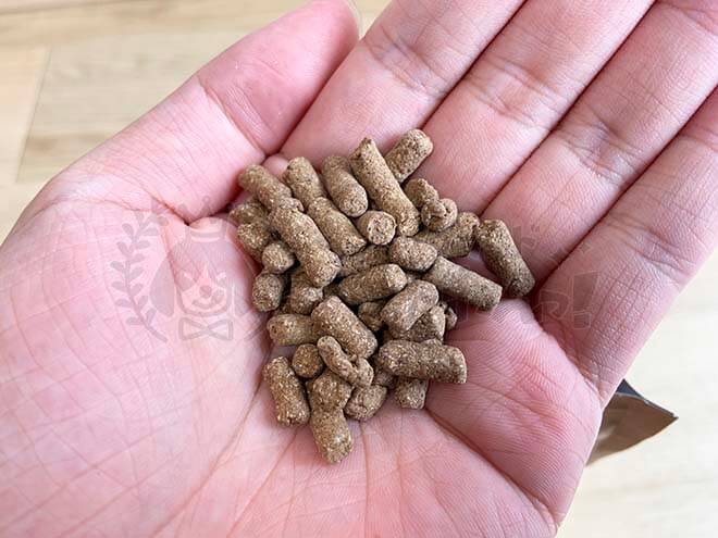 ナチュロルドッグフードの粒