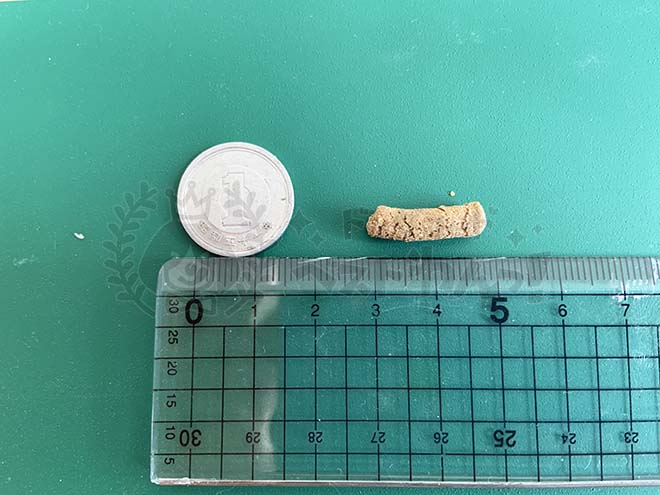 ナチュロルドッグフードの粒の大きさ