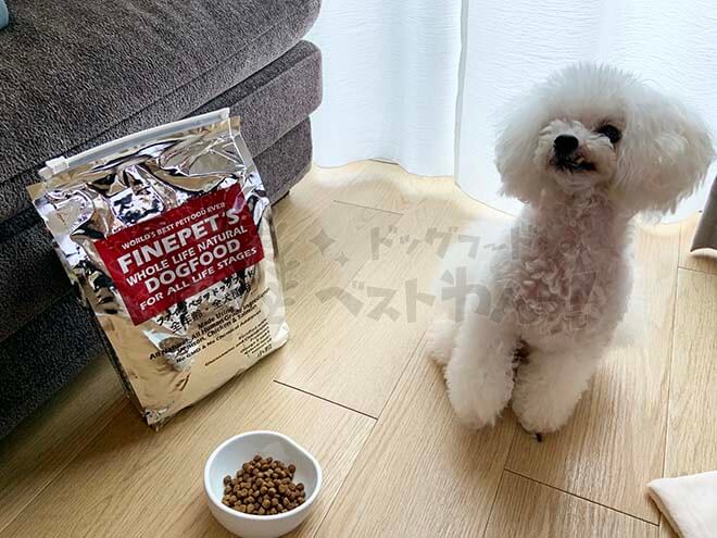 ファインペッツドッグフードと犬