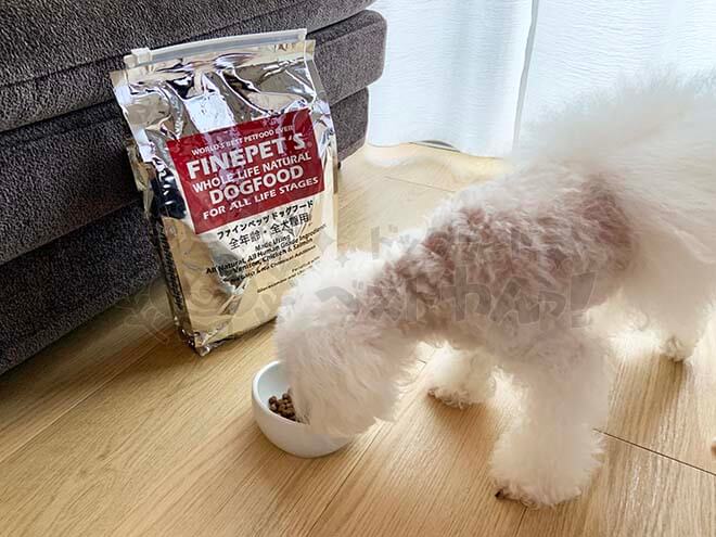 ファインペッツドッグフードを食べている犬
