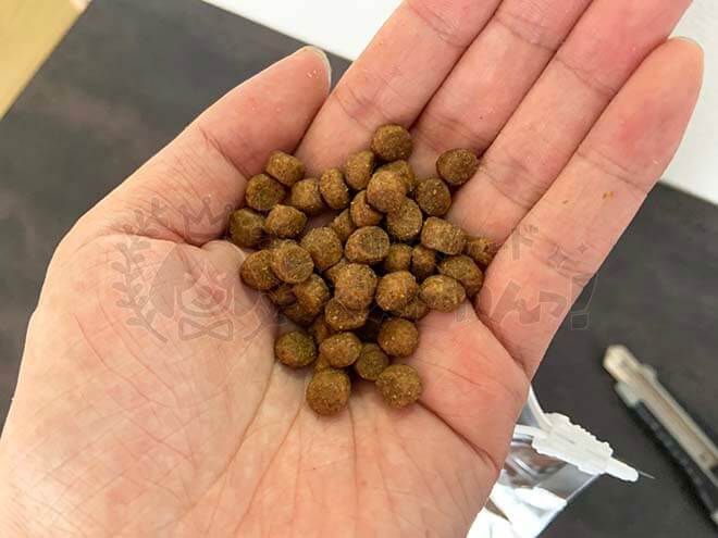 ファインペッツドッグフードの粒