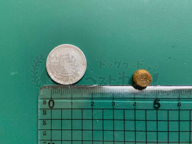 ファインペッツドッグフードの大きさ