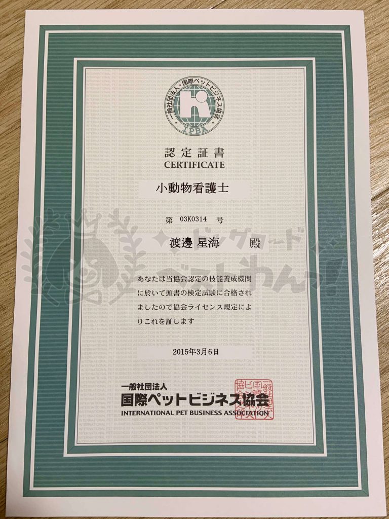 山本星海の国際ペットビジネス協会「小動物看護士」認定証書