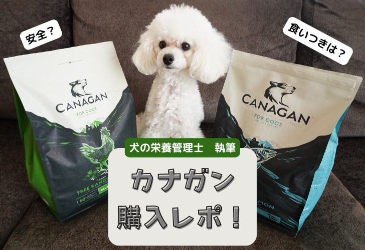 カナガンドッグフードの口コミレポ