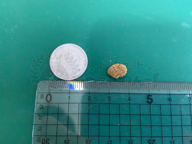 馬肉自然づくりの大きさ