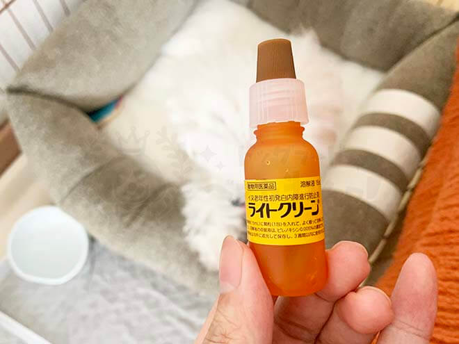 犬の白内障の進行を遅らせる点眼薬