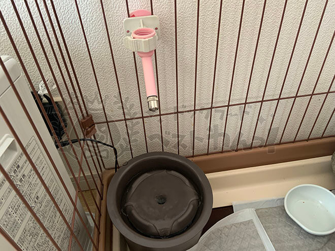 水飲み場を変える前