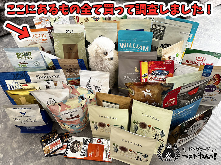 老犬用のおすすめドッグフードの比較