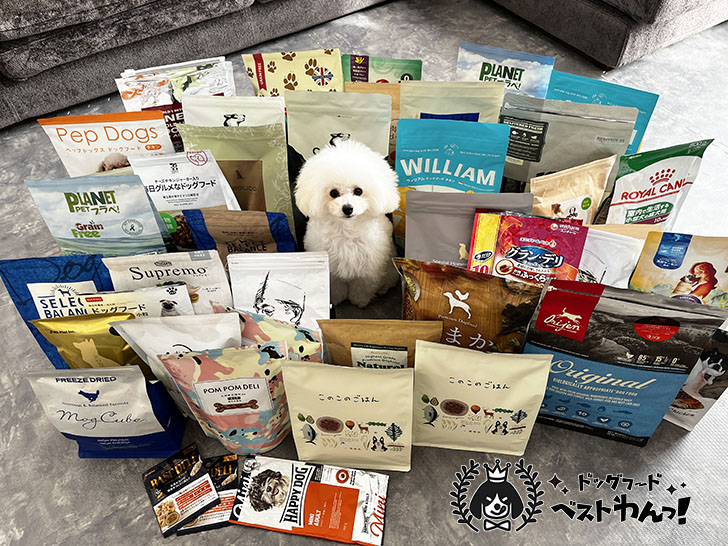 小型犬用おすすめドッグフードの比較