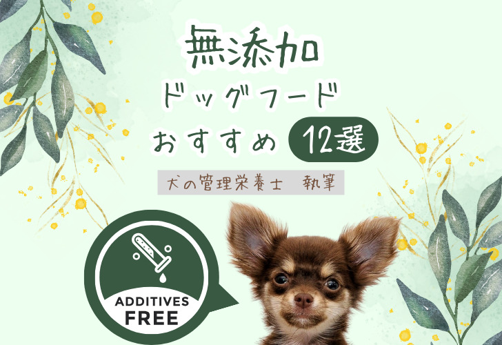 無添加ドッグフードおすすめランキング12選