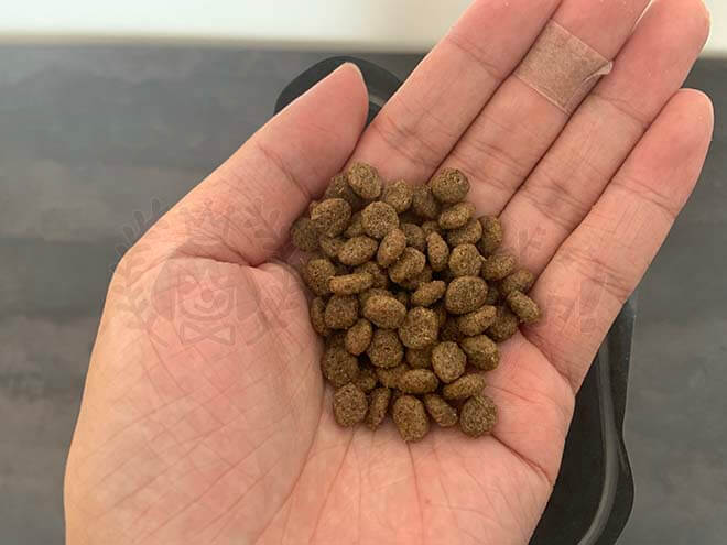 ペップドッグフードの粒