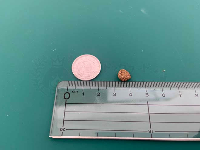 ペップドッグフードのサイズ