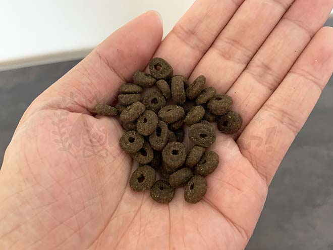 プラペドッグフードの粒