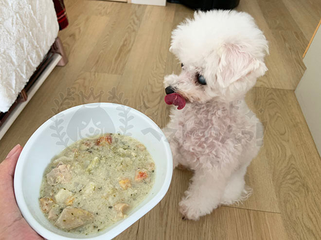 愛犬がキドニーレシピを待っている