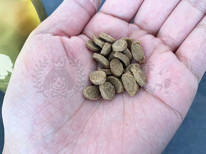 金の旨味ドッグフードの粒