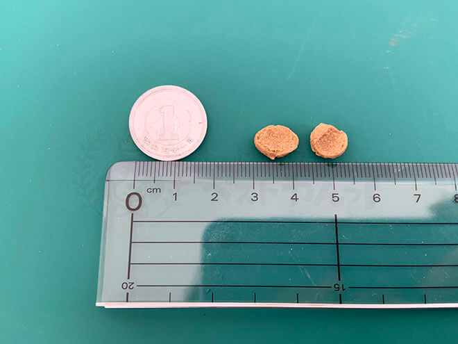 金の旨味ドッグフードのサイズ