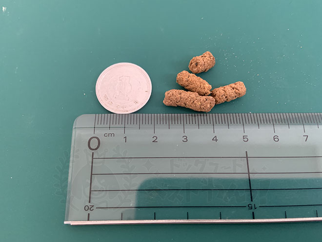 犬猫ドッグフードの粒の大きさ