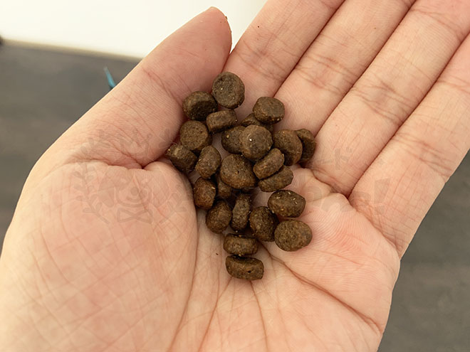 ウィリアムドッグフードの粒