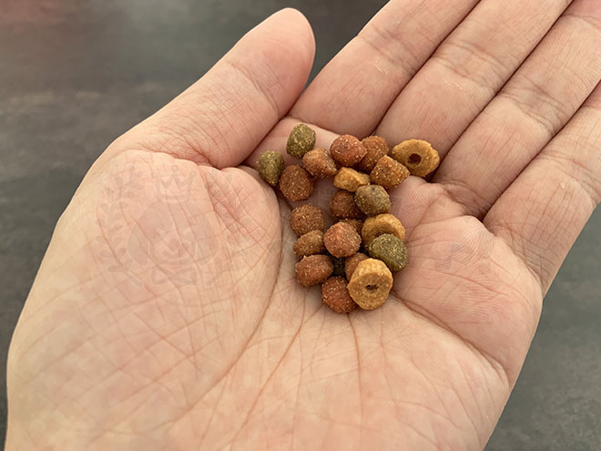 グランデリドッグフードの粒