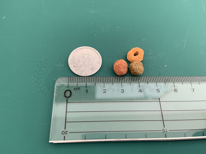 グランデリドッグフードの粒の大きさ