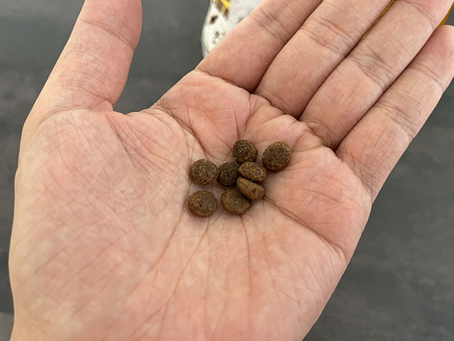 シーザードッグフードの粒