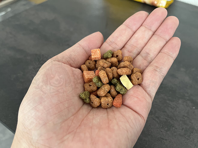 コンボドッグフードの粒