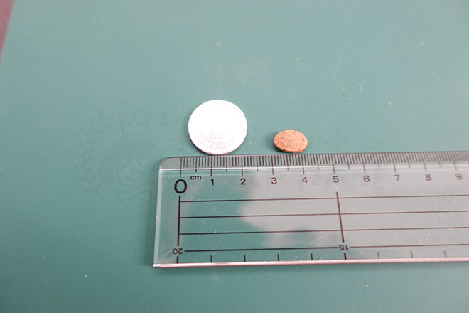 ミシュワンドッグフード小型犬用の粒の大きさ