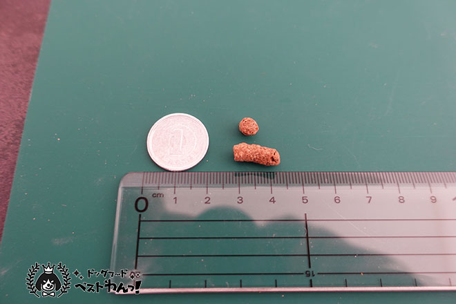 安心犬活ドッグフードの粒の大きさ