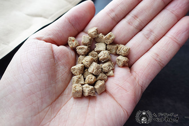 ドッグフード工房を食べている