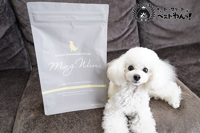 退色が気になるプードルにおすすめのドッグフード