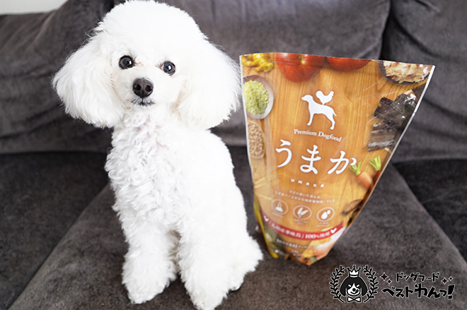 トイプードルの関節ケアにおすすめのドッグフード