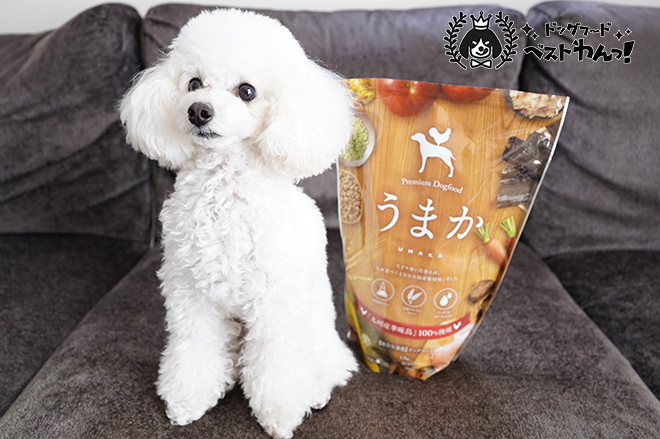 涙やけのあるトイプードルにおすすめのドッグフード