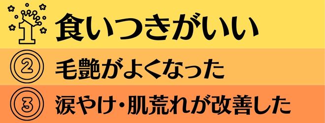 うまか良い口コミランキング