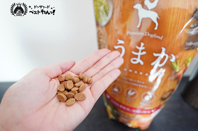 うまかドッグフードを人間が食べてみた