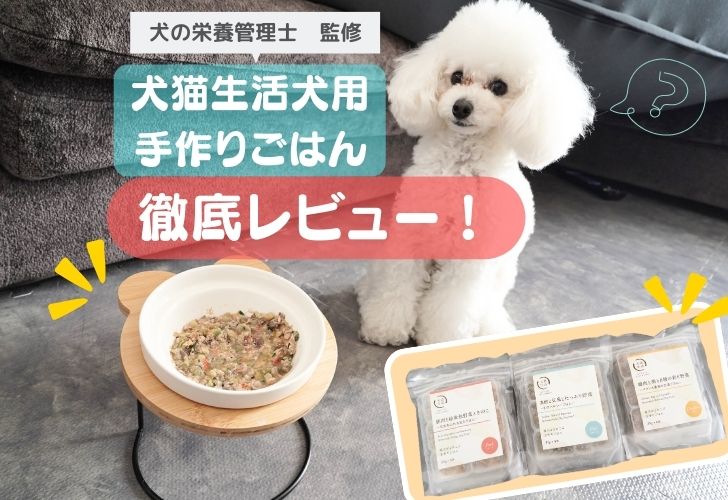 犬猫生活犬用手作りごはん
